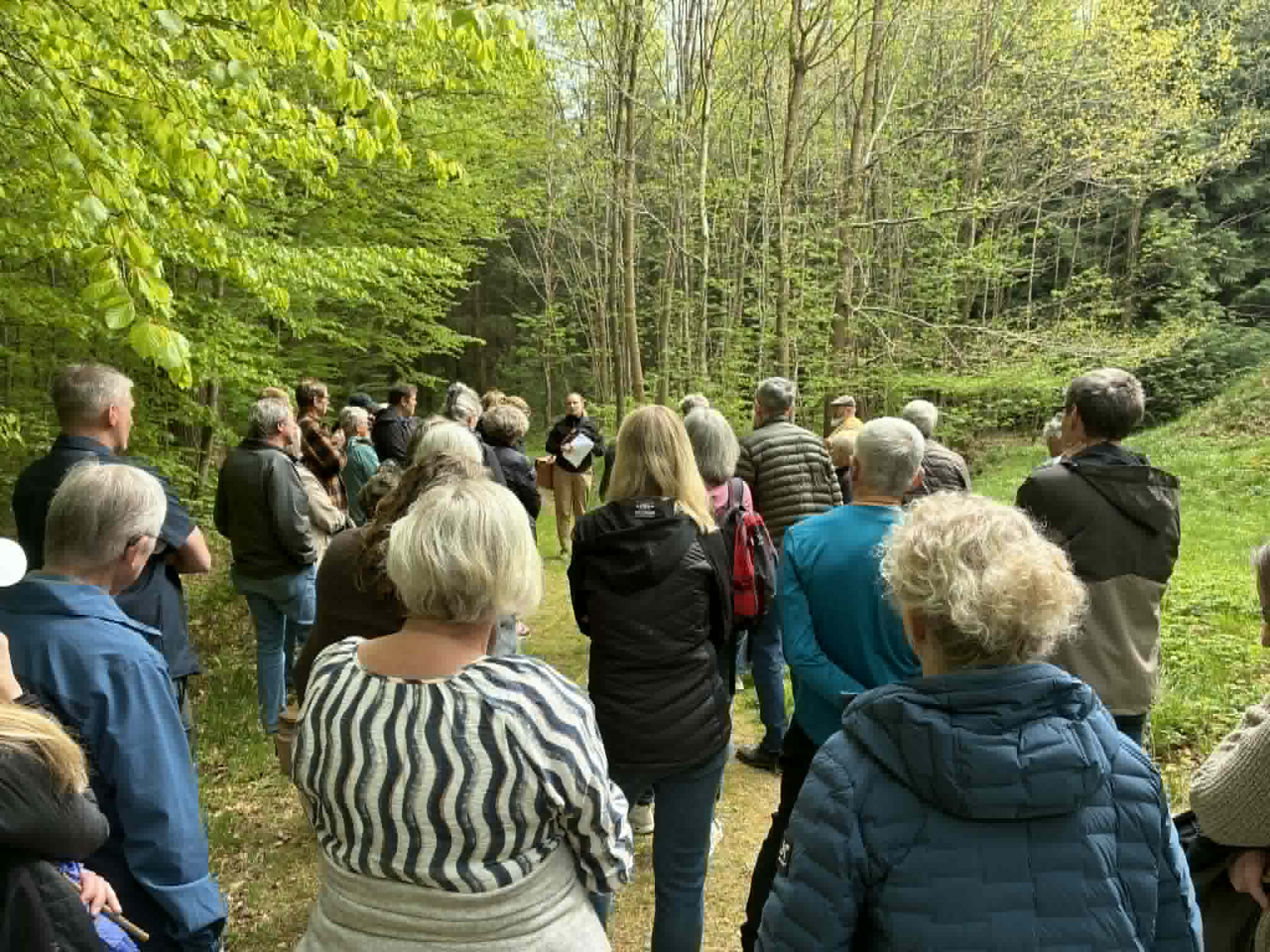 7af3e16a-b9d0-467f-9b33-507a7c148800 Guidet tur Østerskoven